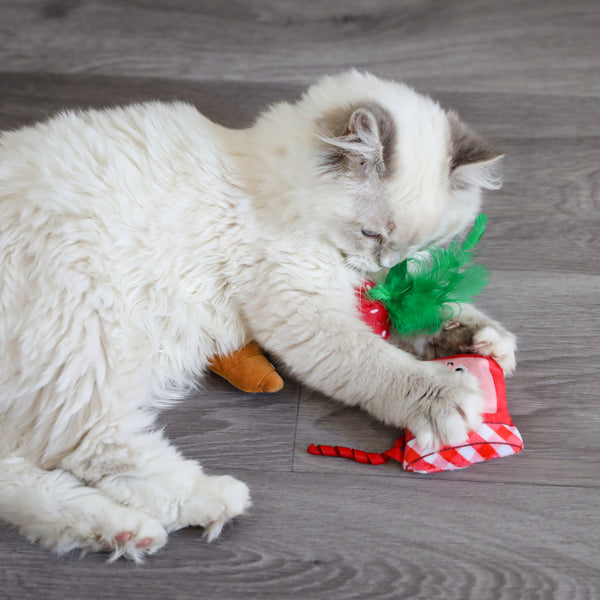 Kitty Croissant Strawberry Jam Catnip Toy 3pk