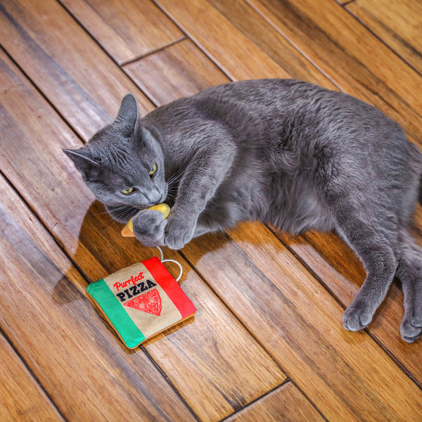 Purrfect Pizza Catnip Toy 2pc
