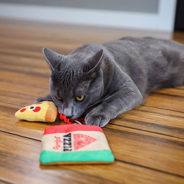 Purrfect Pizza Catnip Toy 2pc