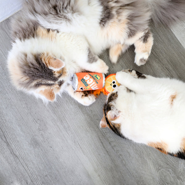 Orange Mice Soda Catnip Toy 2pk