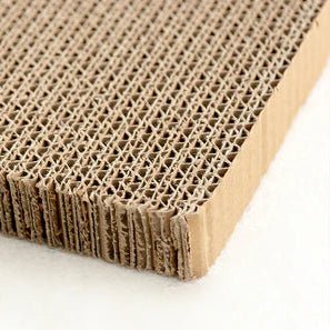Close-up of a corrugated cardboard sheet on a white background