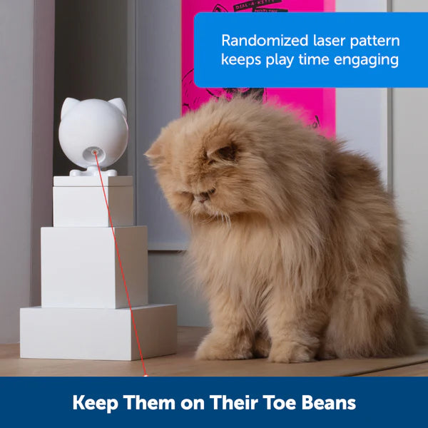 PetSafe Dancing Dot Laser Cat Toy