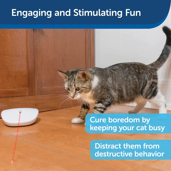 PetSafe Laser Tail Automatic Electronic Interactive Cat Toy