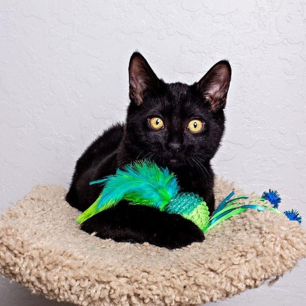 Multipet Mesh Ball with Feathers cat toy