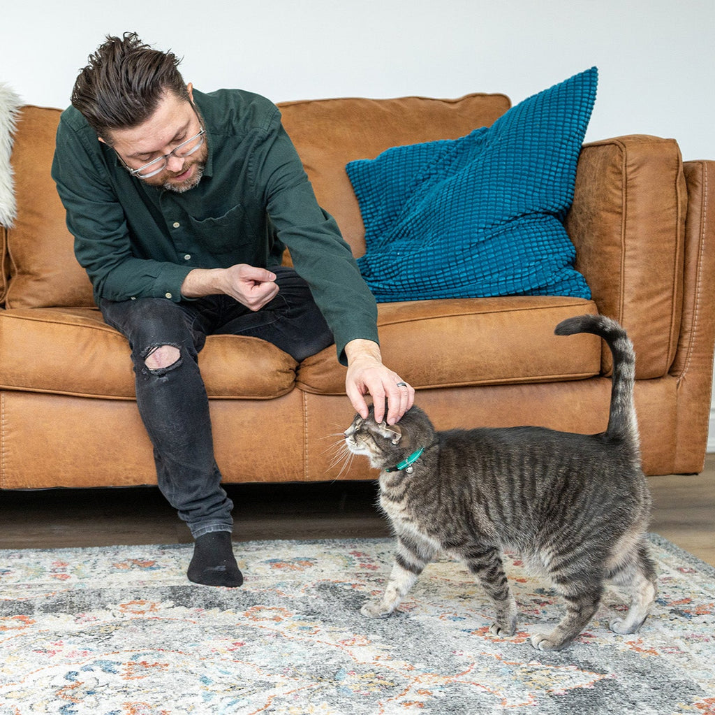 Man sitting on a brown leather sofa with blue pillows, petting a cat on a rug.
