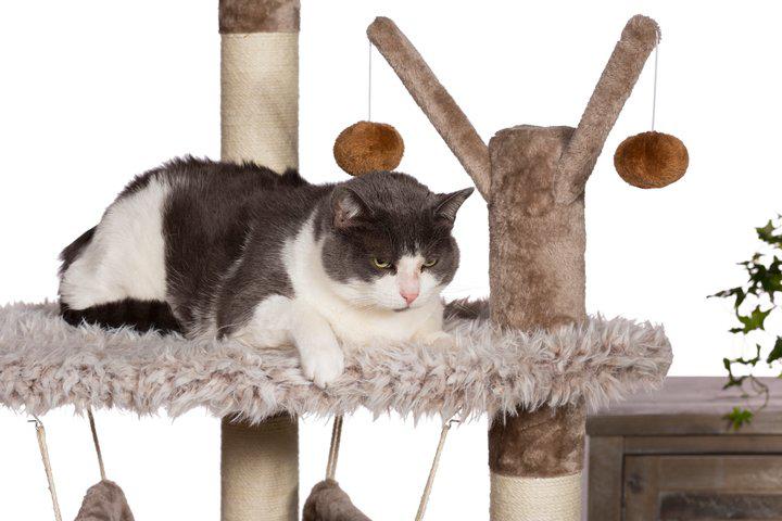 Kitty Power Paws Siberian Mountain Cat Tree Tower Perch with Condo