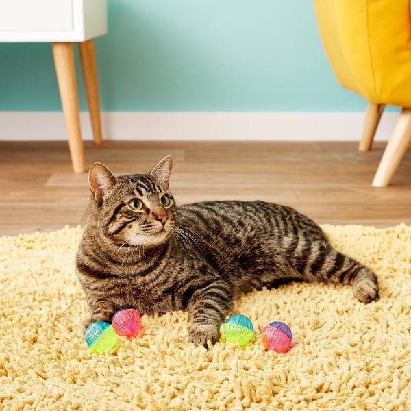 Shimmer Rattle Plastic Ball Cat Toy 1pk