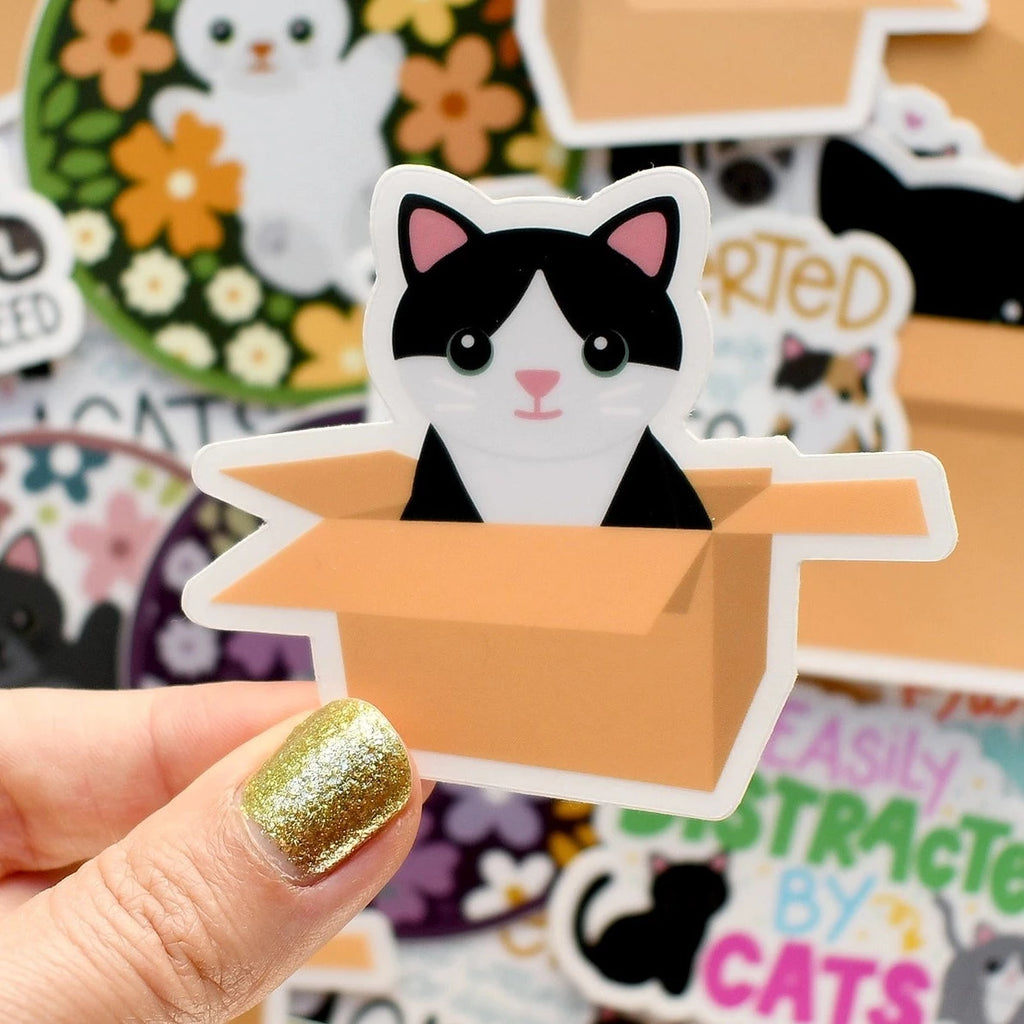 Tuxedo Cat in Cardboard Box sticker