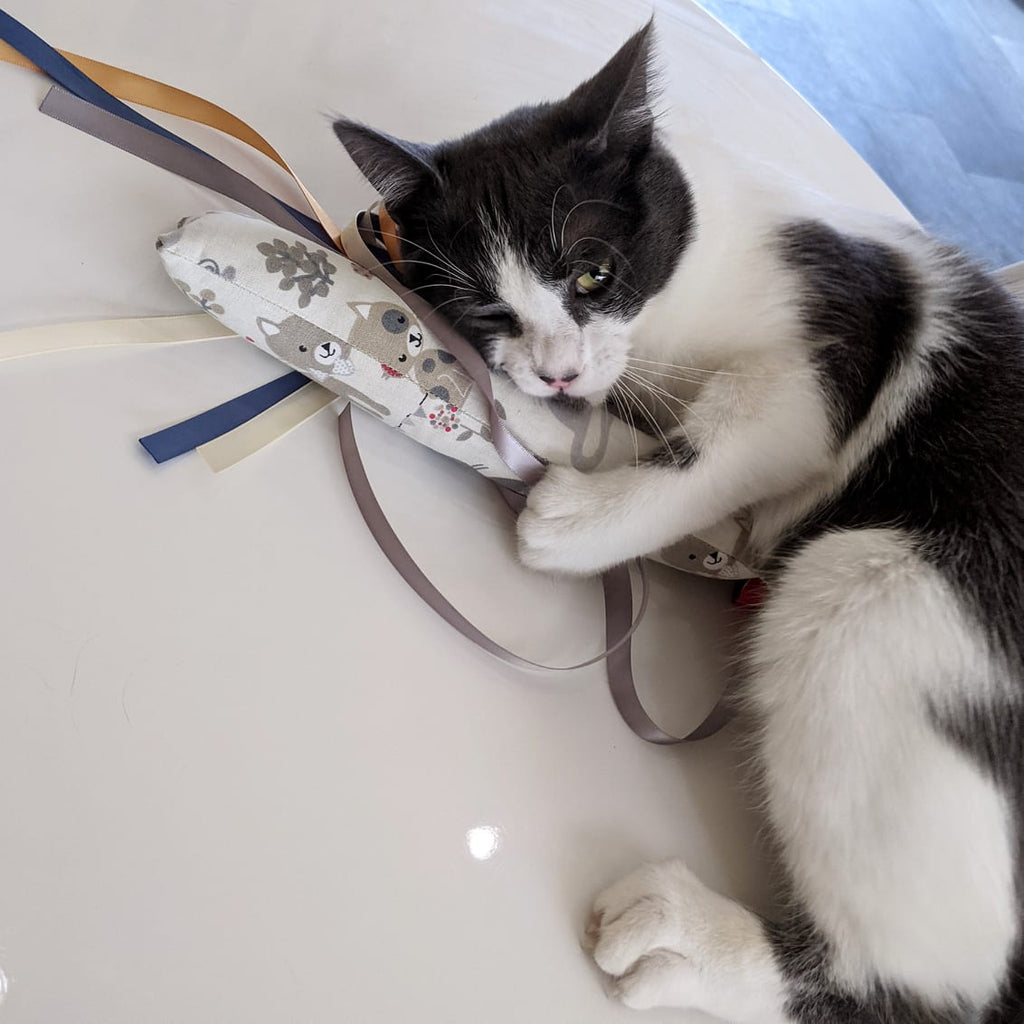 Catnip kicker