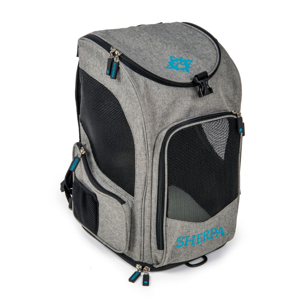 2-in-1 pet backpack and carrier