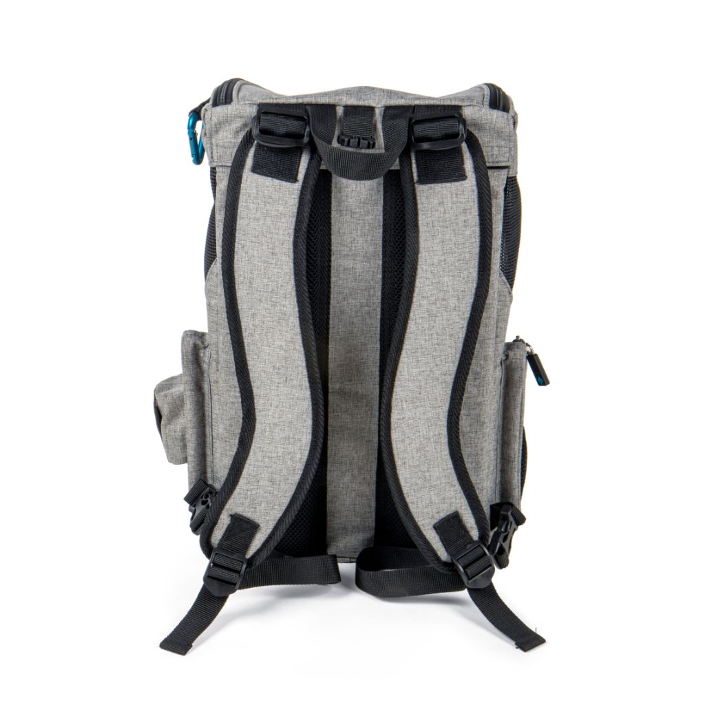 2-in-1 pet backpack and carrier