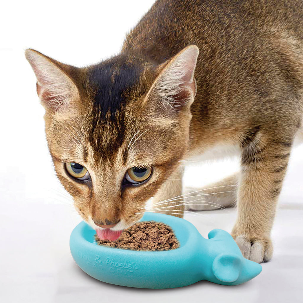 Wet food cat feeder