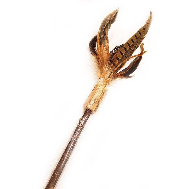 Define Planet Silvervine and feathers wand toy