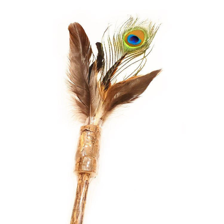 Define Planet Peacock feathers and silvervine wand