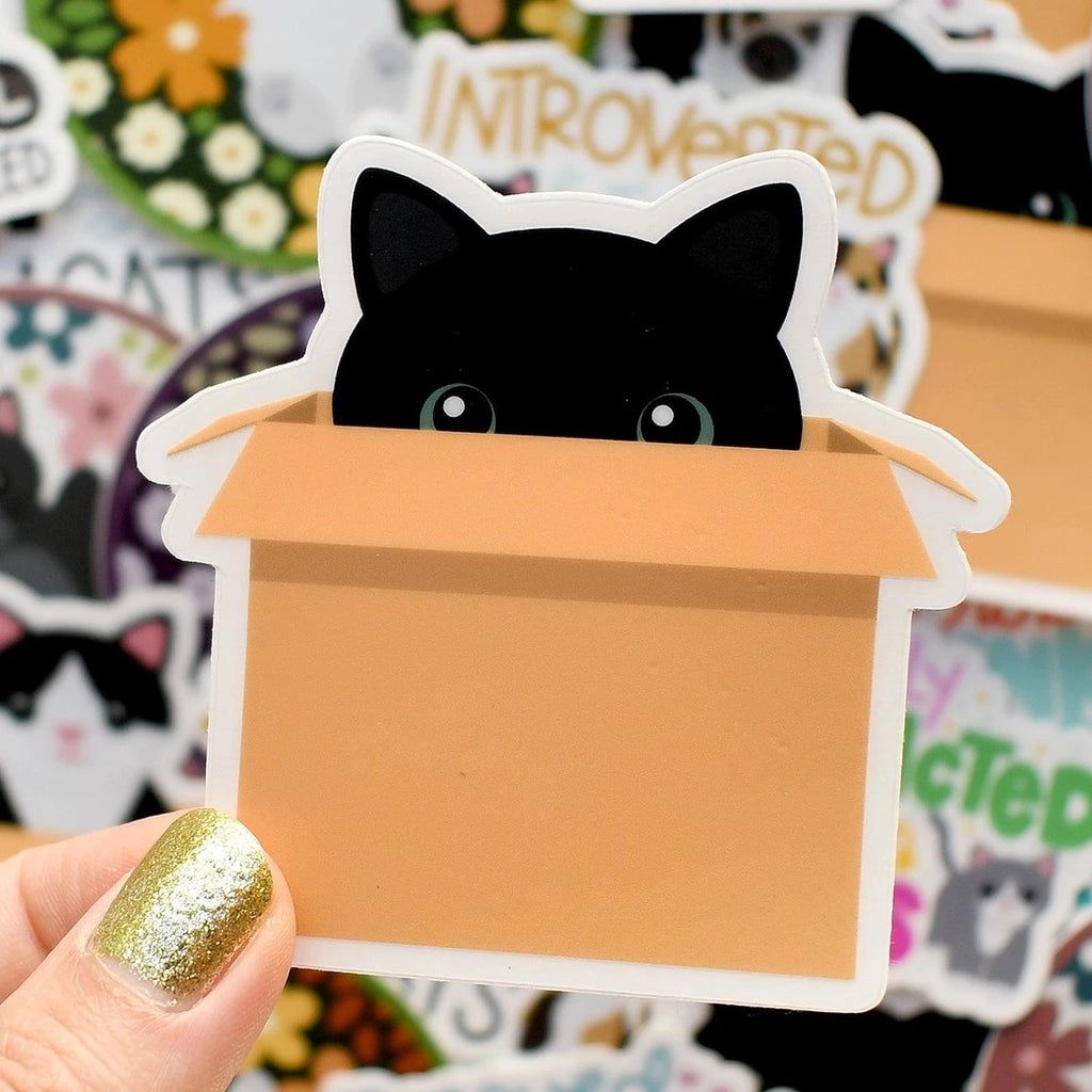 Black Cat in Cardboard Box sticker