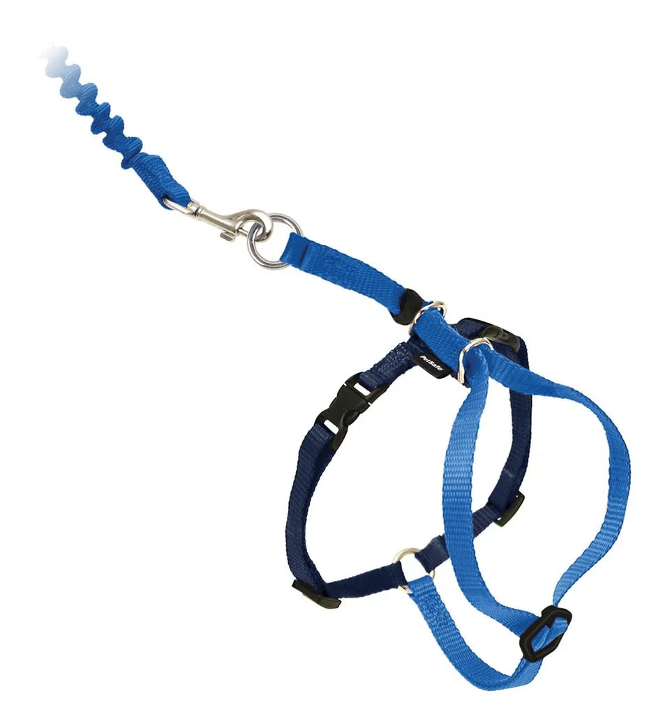 Come With Me Kitty cat harness & bungee leash