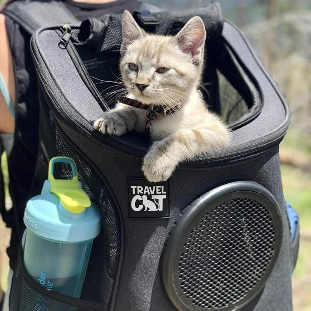 "The Fat Cat" Backpack Carrier