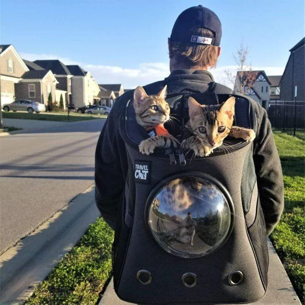 Cat Carrier Backpack For Two Cats Lekebobor Double Cat Backpack
