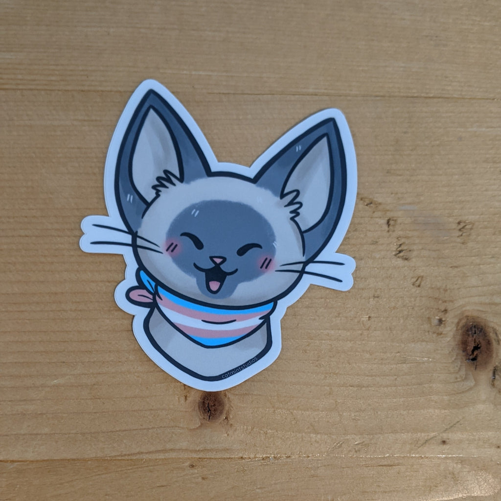 Transgender Pride Kitty sticker