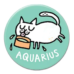 Aquarius Zodiac Catstrology Astrology Fridge Magnet