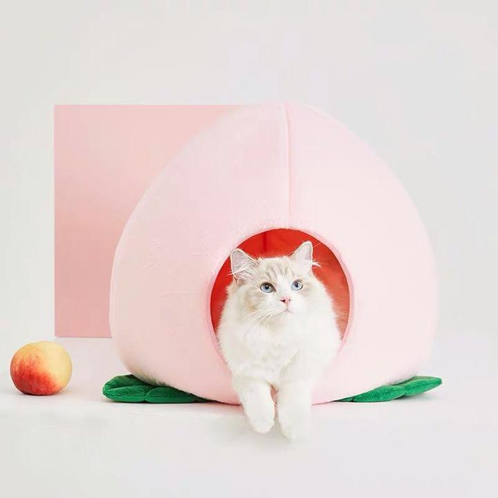 Peach cat cave