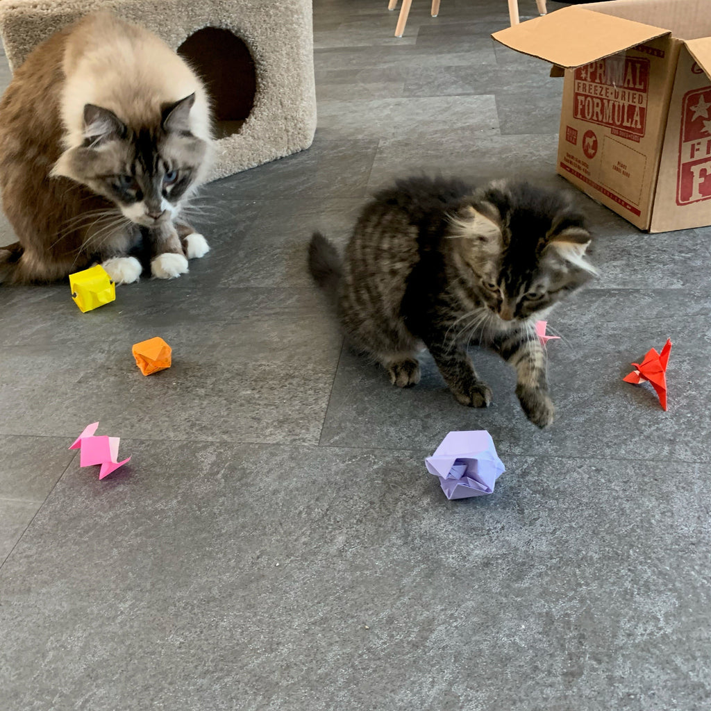 Origami cat toy kit